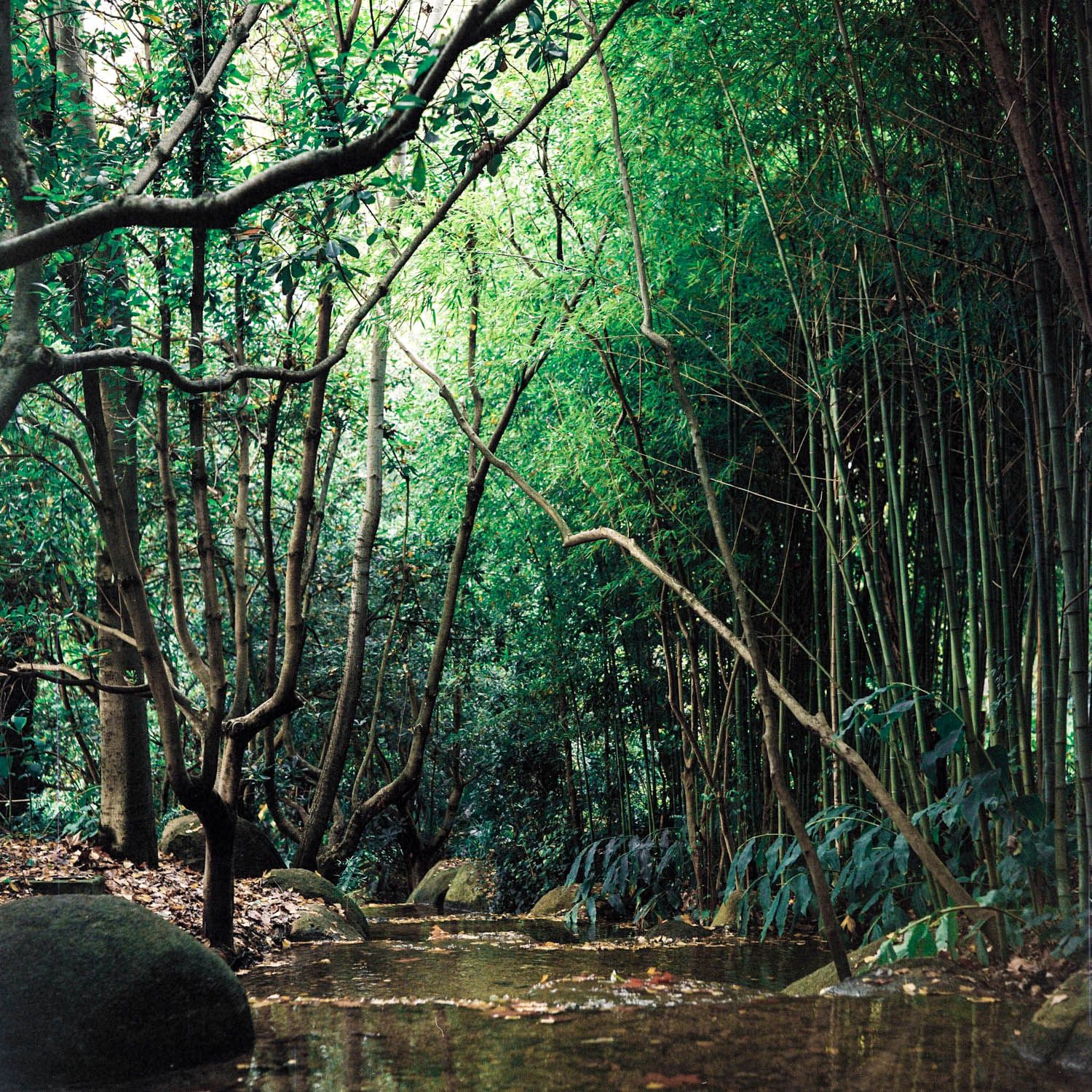 TERCEIRA NATUREZA #2